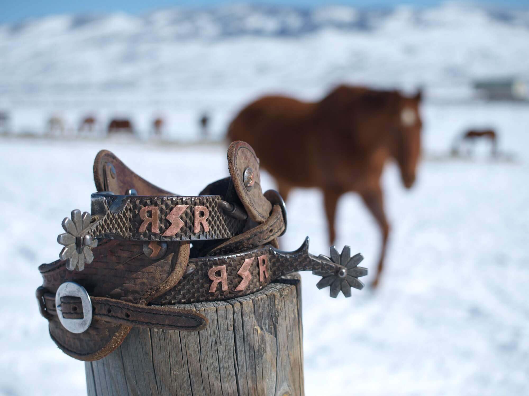 What Happens in the Off-Season