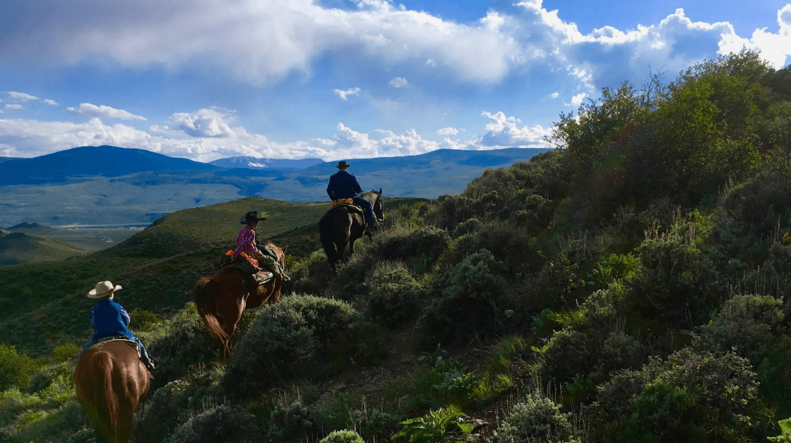 explore colorado's untamed wilderness on horseback