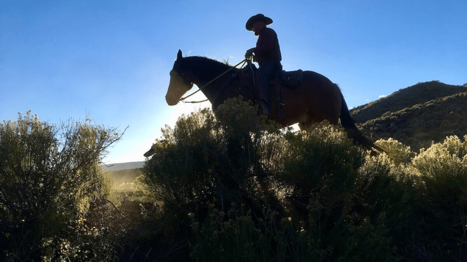 Off-Trail Horseback Riding Excursions