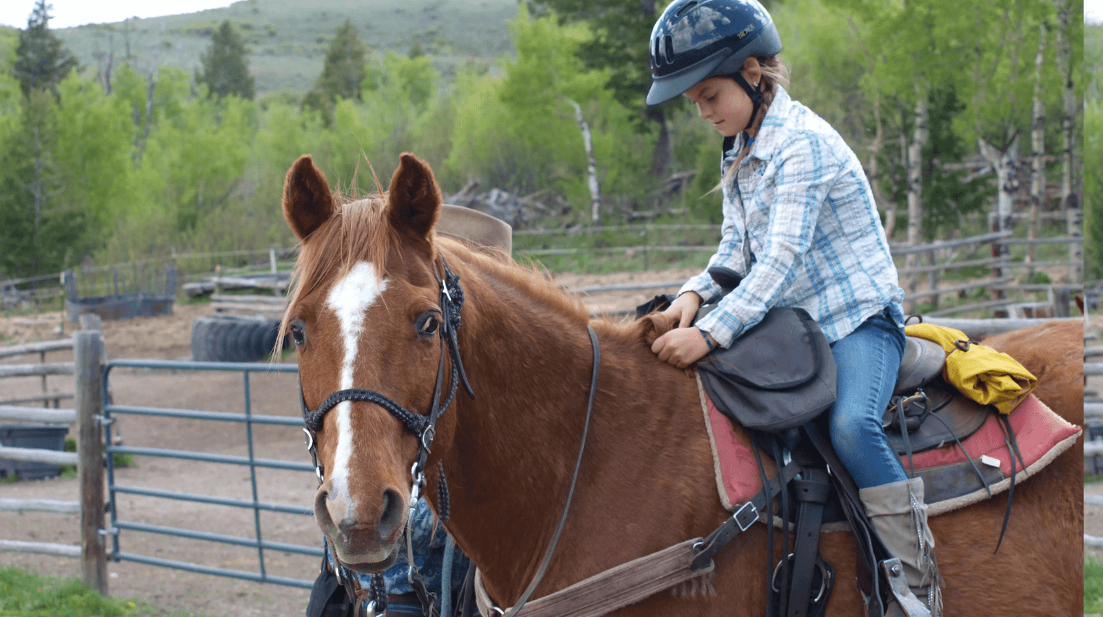 Safe Horse Handling