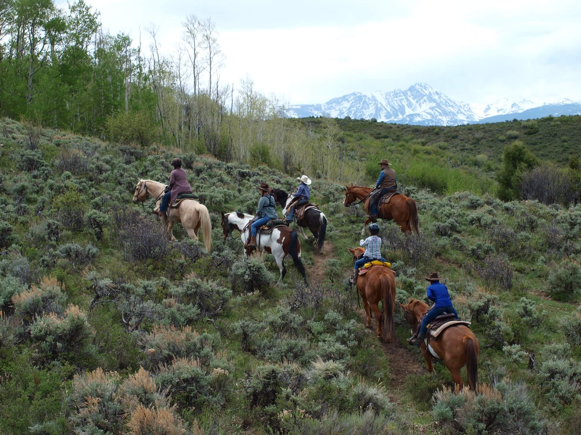 Corporate team enjoying a Colorado ranch experience with horseback riding and outdoor activities at Rusty Spurr Ranch.