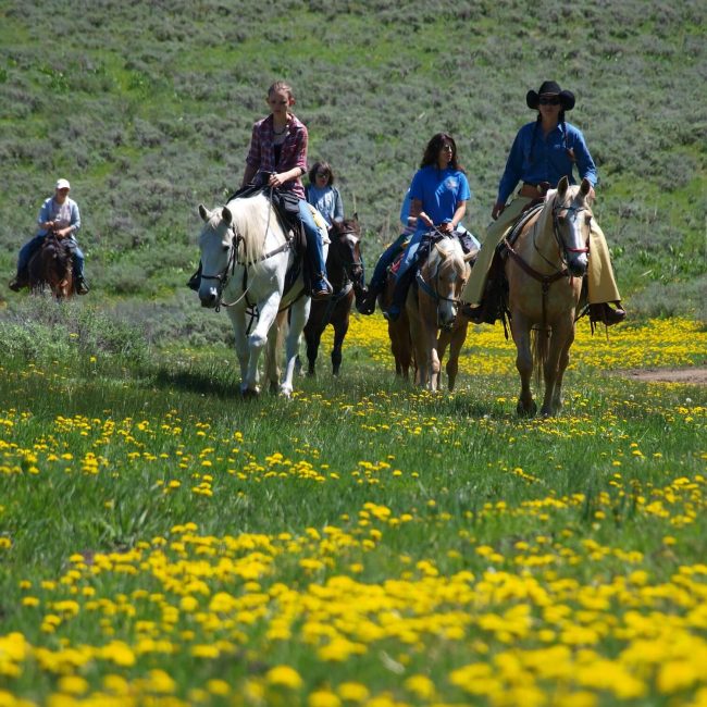 Family enjoying a guided horseback riding experience together at Rusty Spurr Ranch in Colorado.