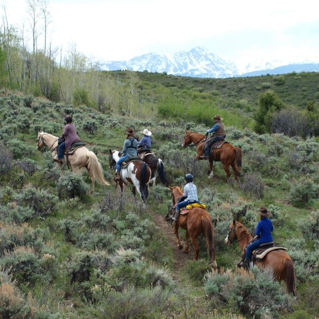 Parents and kids riding horseback together on a family-friendly trail at Rusty Spurr Ranch in Colorado.