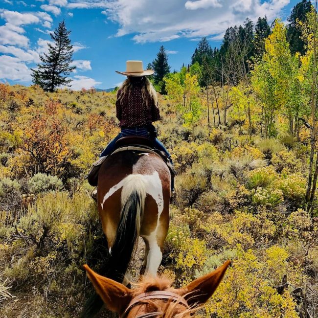 Rider on horseback admiring a breathtaking mountain view during a scenic trail ride at Rusty Spurr Ranch in Colorado.