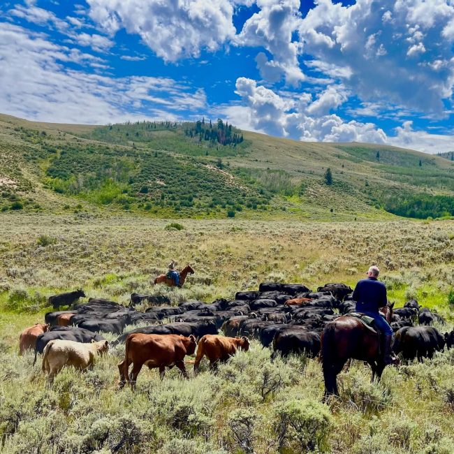 Guests on guided ranch horse tours exploring scenic trails and mountain views at Rusty Spurr Ranch in Colorado.