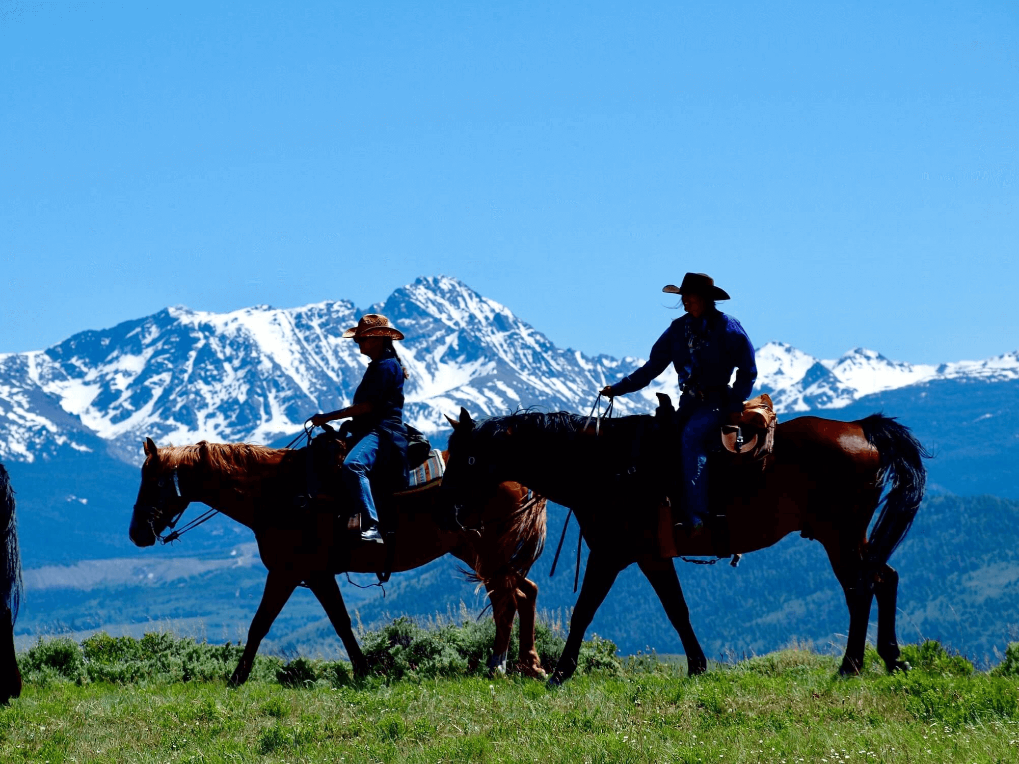 Horseback Riding Near Grand Lake, CO