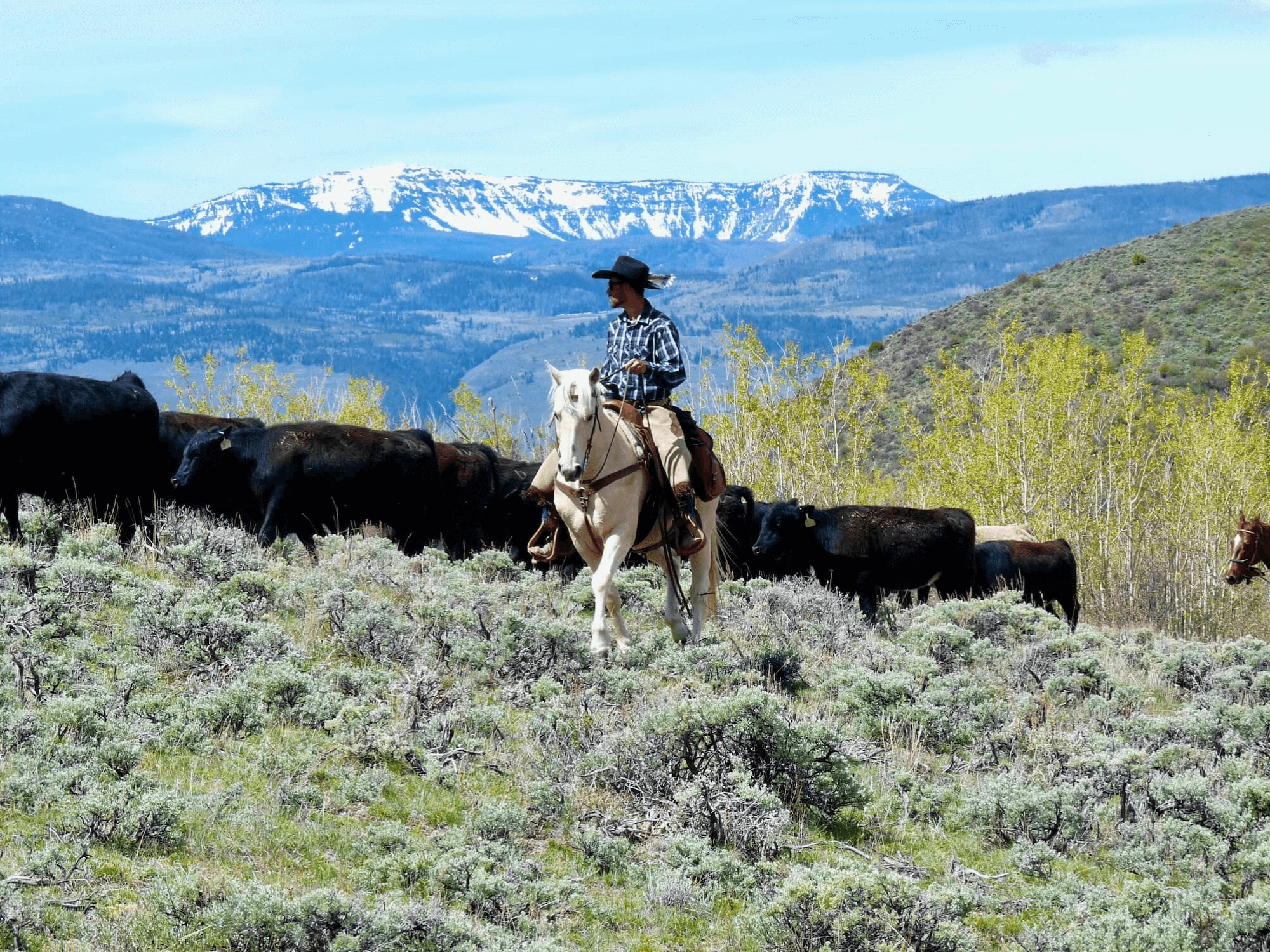 Horseback Riding Near Steamboat Springs, CO