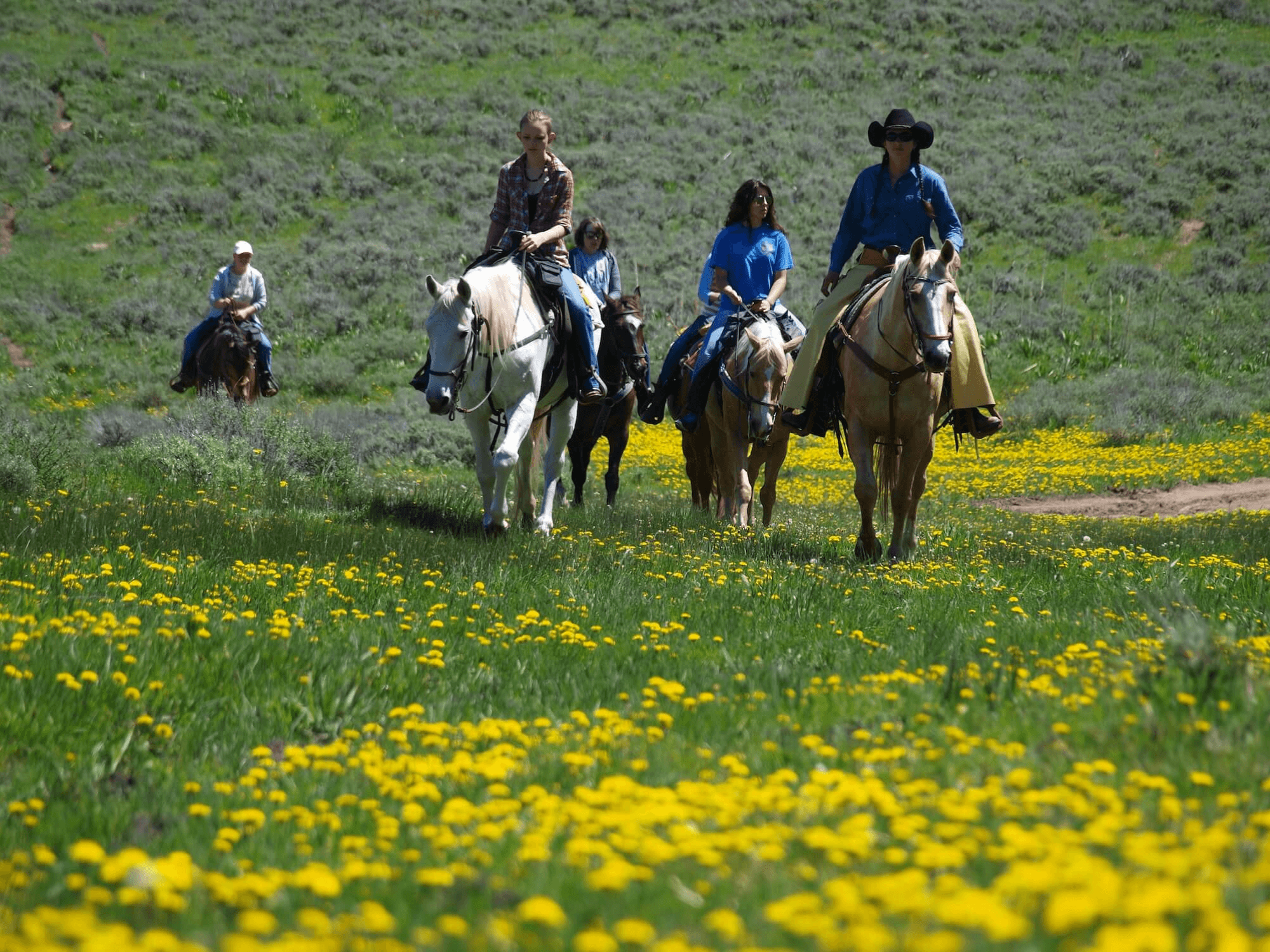 Horseback Riding Near Vail, CO