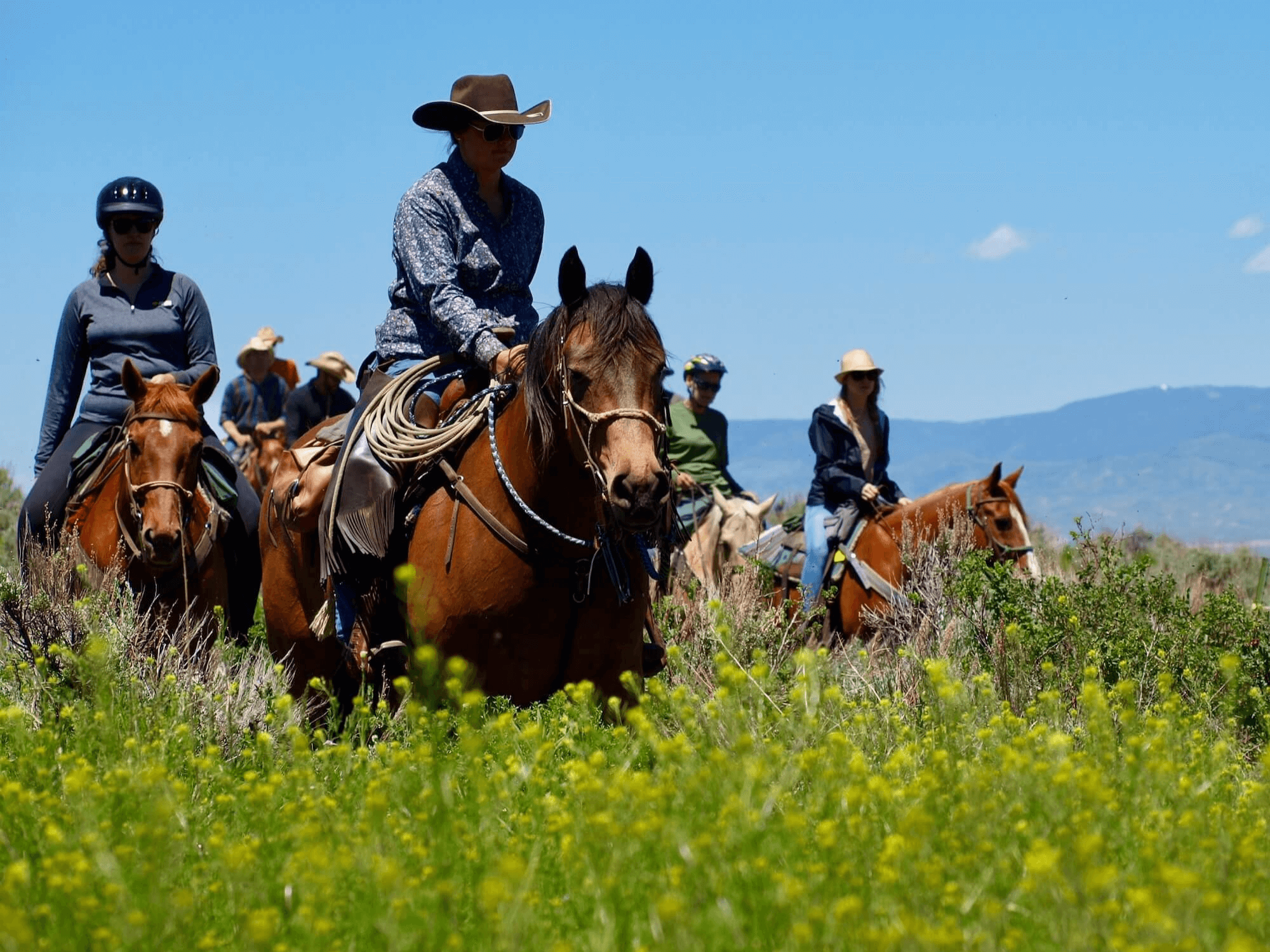 Horseback Riding Near Winter Park, CO
