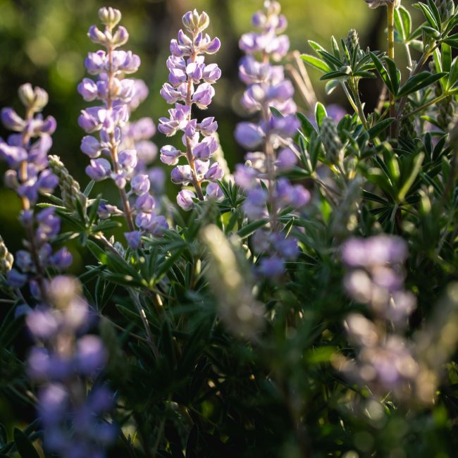 bachelorette party ideas in colorado