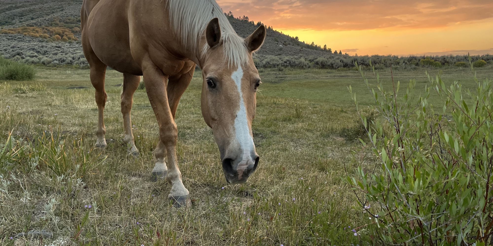 directions to rusty spurr ranch