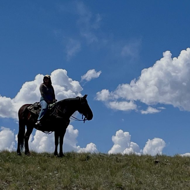 private and small group horseback riding tours