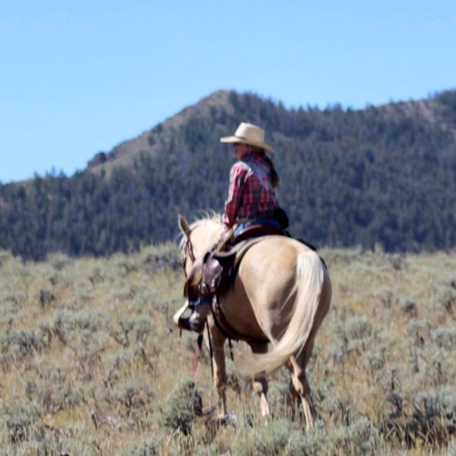 private trail ride in colorado