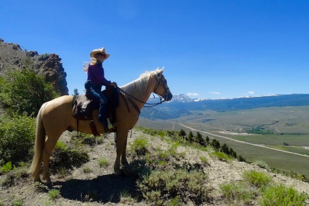 Equestrian silhouette against the Colorado mountain backdrop, embodying the spirit of the West on a guided scenic tour.