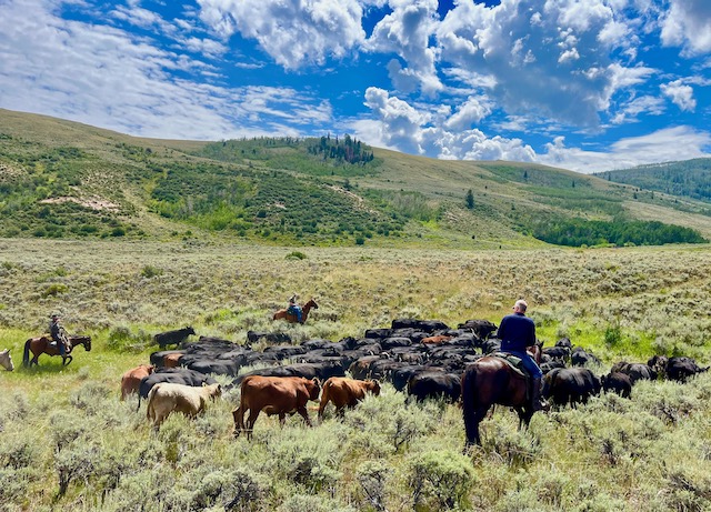 Group of riders enjoying a safe and fun horseback riding adventure at Rusty Spurr Ranch.