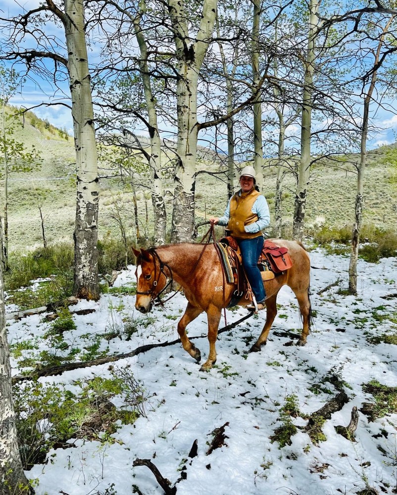 Close-up of a horse and rider in a snowy aspen grove, highlighting the natural beauty of the area.