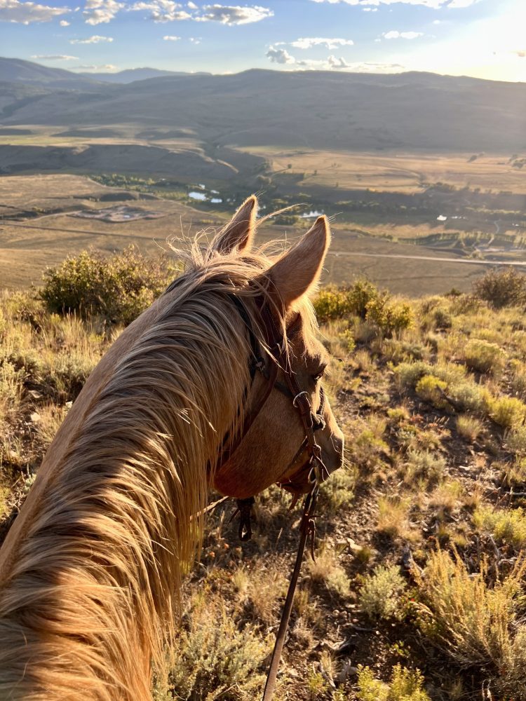 Rider on horseback silhouetted against a stunning afternoon Colorado sunset.