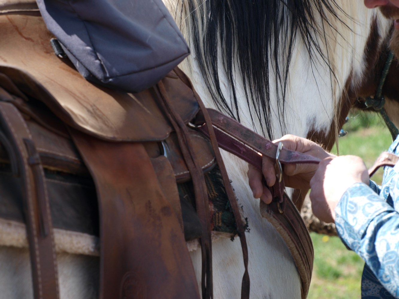 A guide check the saddle and gear on a trail horse before the horseback ride.