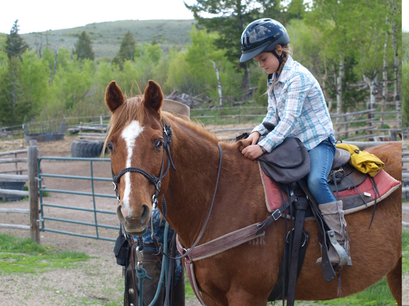 Rider wearing a helmet and long pants, ready for a trail ride.