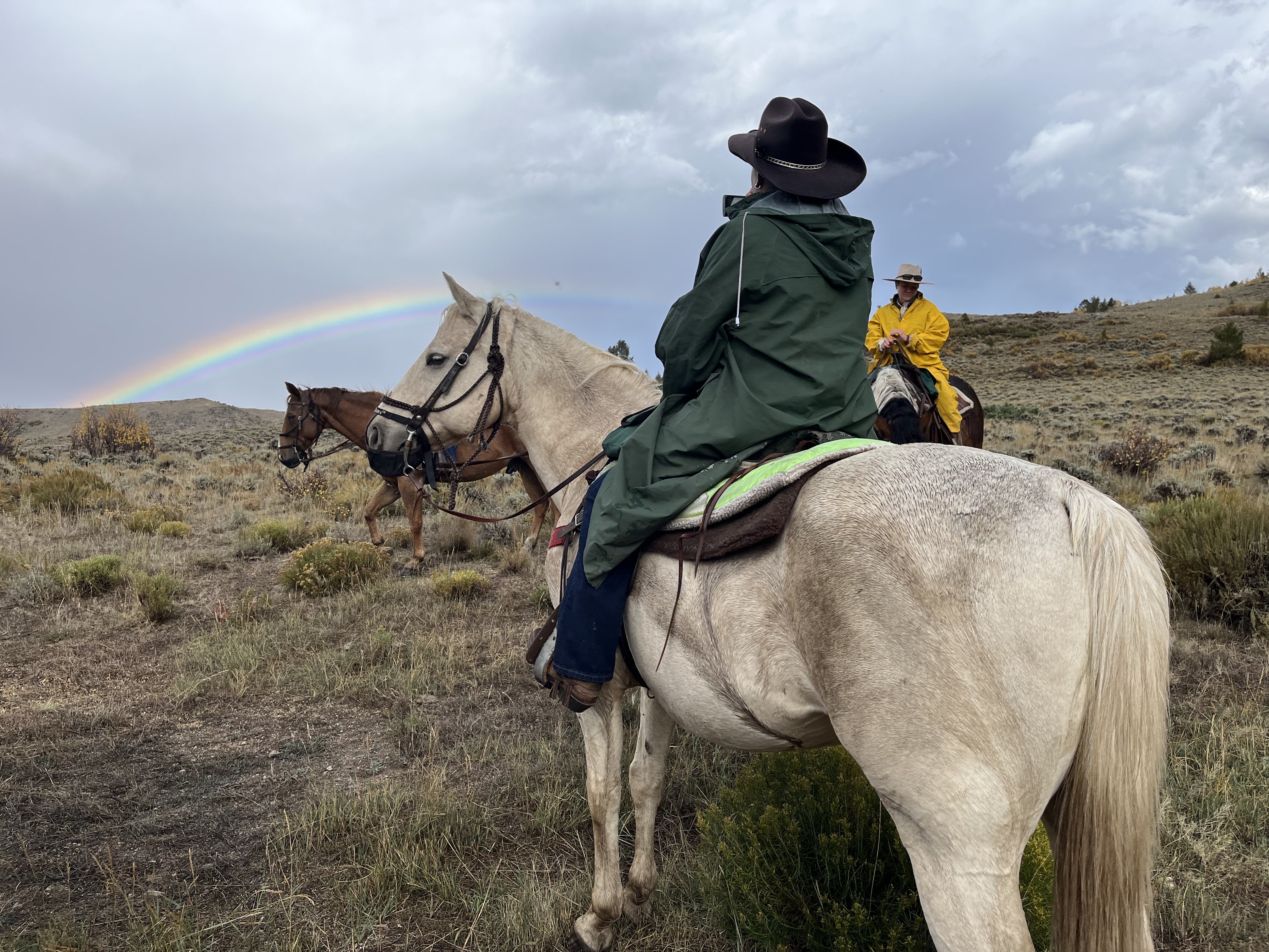 Weather Riding Advice for Horseback Riding at Rusty Spurr Ranch Stay Safe Enjoy Every Ride